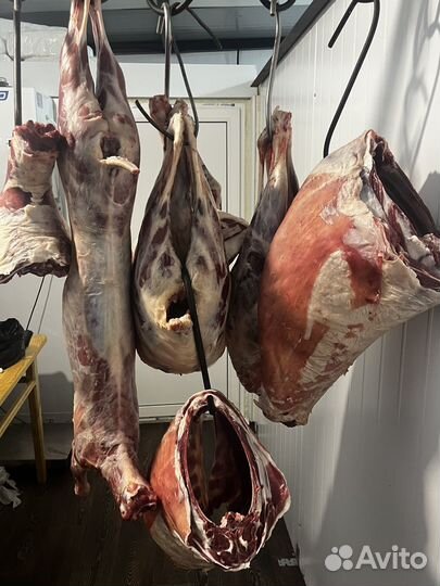 Мясо телятина баранина свежая