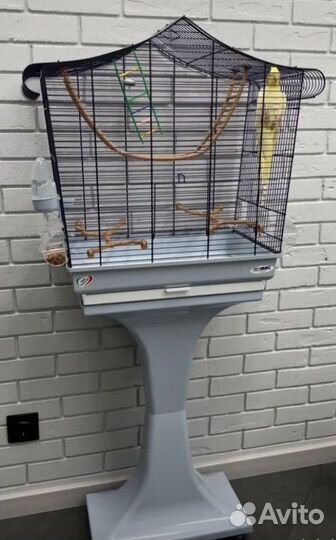 Клетка для попугаев