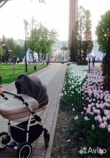 Коляска детская Adamex Champion 2 в 1