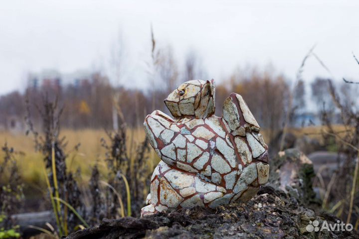 Белка каменная
