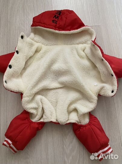 Комбинезон для маленькой собаки зима