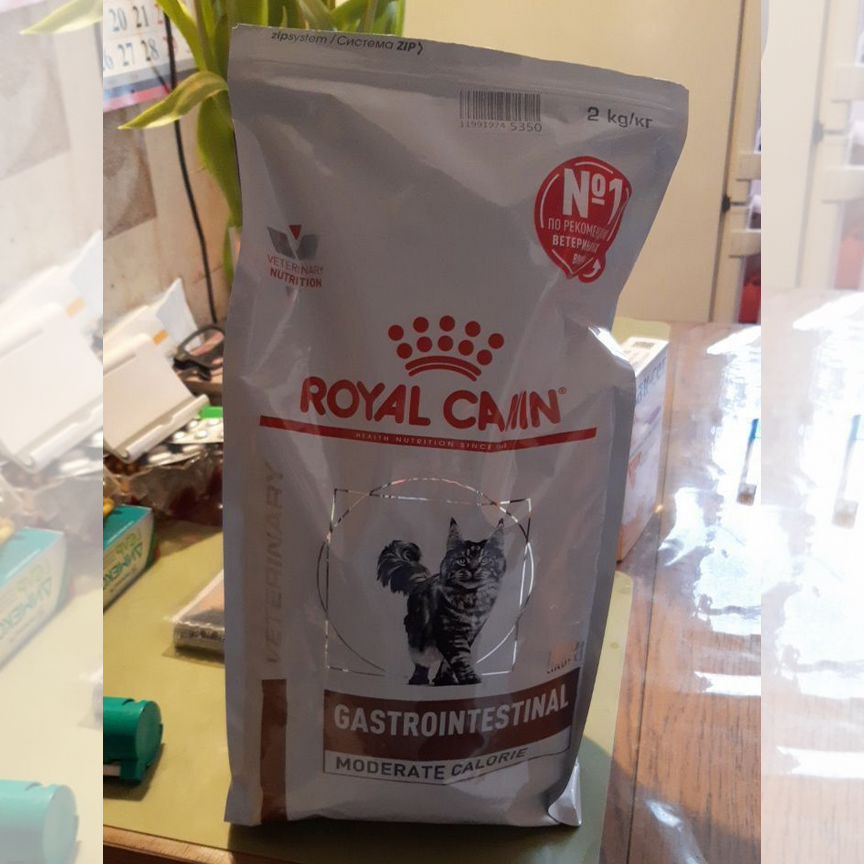 Корм для кошек Royal Canin Gastrointestinal