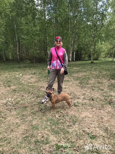 Передержка животных/догситтер