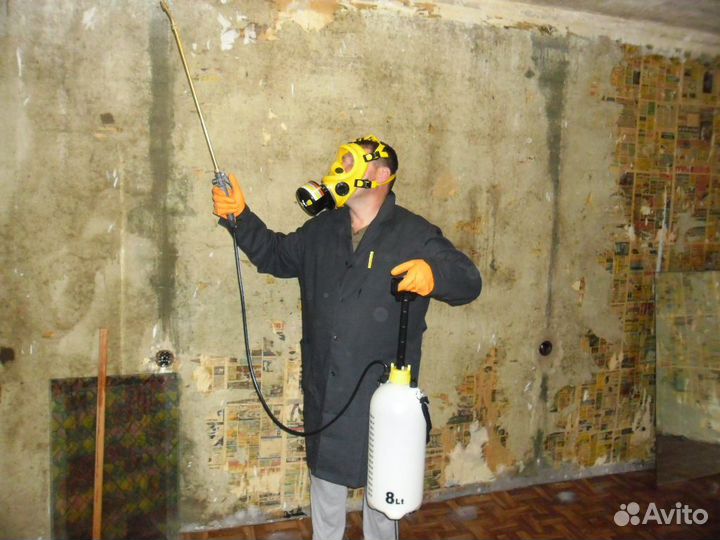 Уничтожение клопов и тараканов