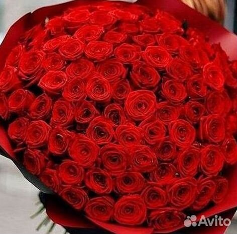 51 Роза, Букеты Цветы Розы 25 101 501 1001