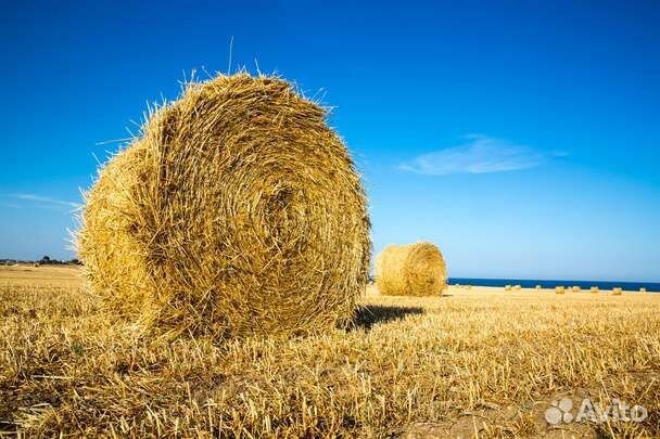 Солома в рулонах и тюках принимаю заказ на свежую