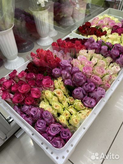 Кенийские розы