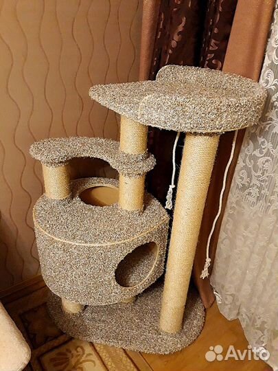 Когтеточка-комплекс для кошки