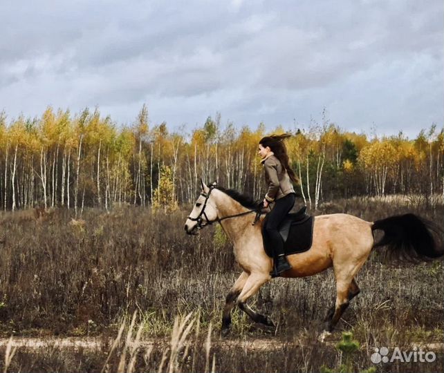 Конные прогулки