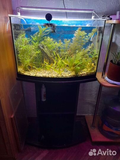 Аквариум 50 литров с тумбой