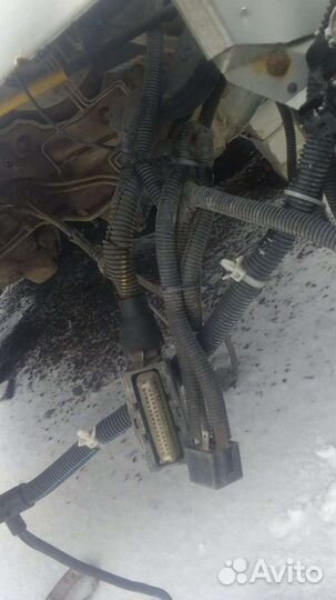 Проводка подкапотная Опель Астра G Opel Astra G