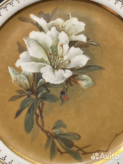 Тарелки Limoges начало 20 в