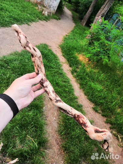 Коряги дрифтвуд