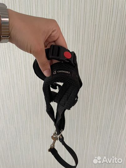 Недоуздок(халти)