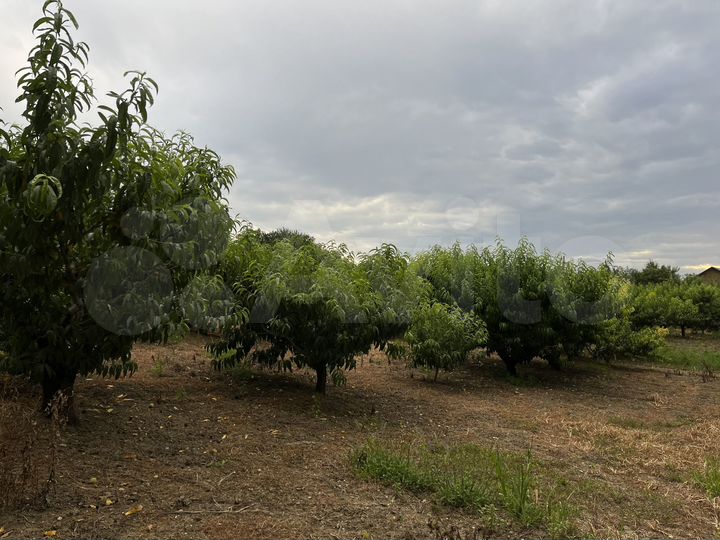 Участок 20 сот. (ИЖС)