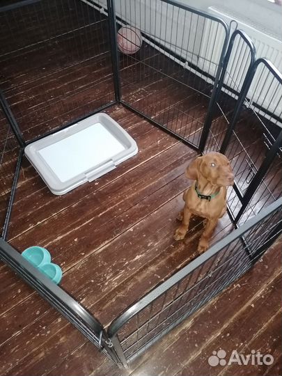 Вольер для собак усиленный, ворота безопасности