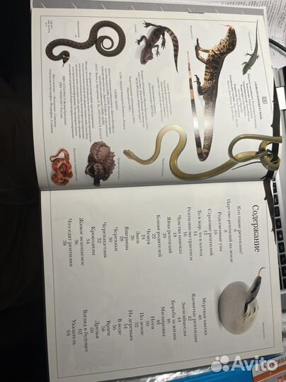 Книга «Рептилия»