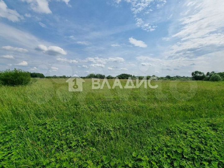 Участок 4,4 га (СНТ, ДНП)