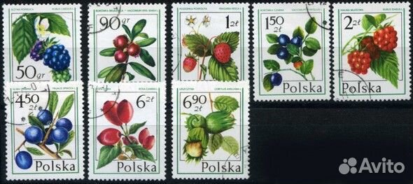 Растения, флора