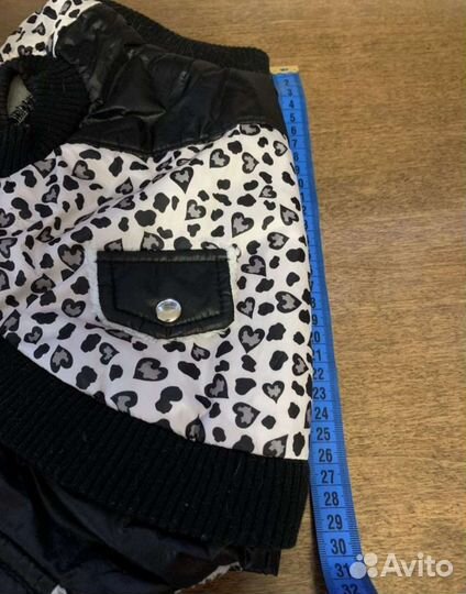 Одежда для собак