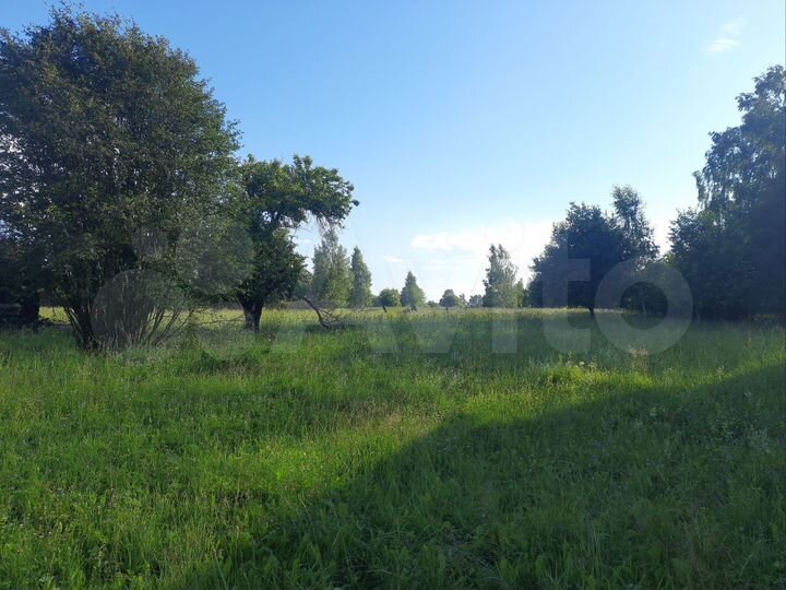 Участок 78 сот. (ИЖС)