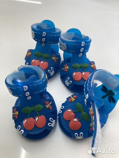 Сланцы для мини собачки