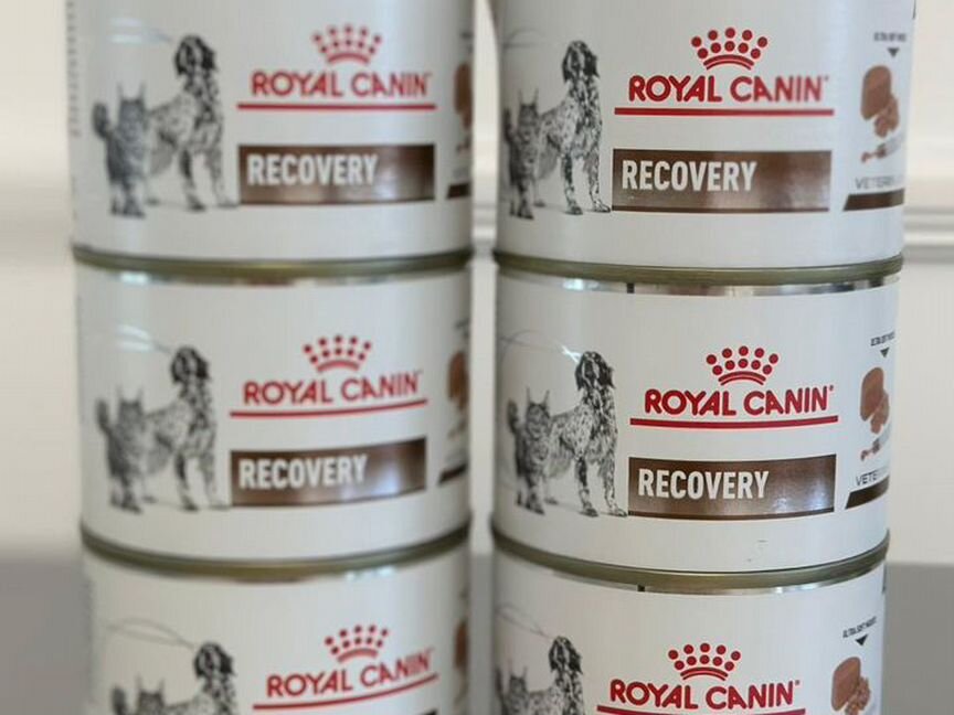 Корм для кошек royal canin recovery