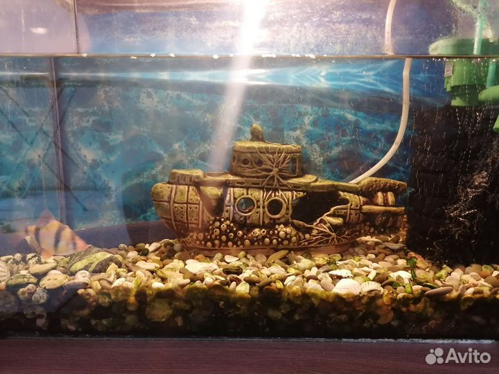 Аквариум