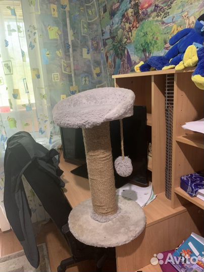 Когтеточка для кошек