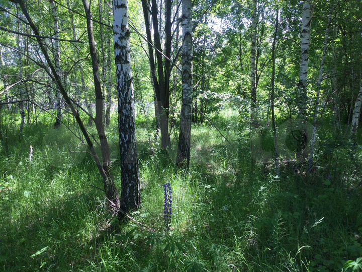 Участок 10 сот. (СНТ, ДНП)