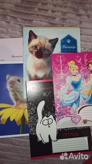 Школьная тетрадь в линейку 18 и 24 листа