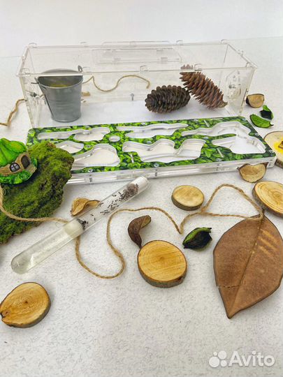 Муравьиная ферма с муравьями