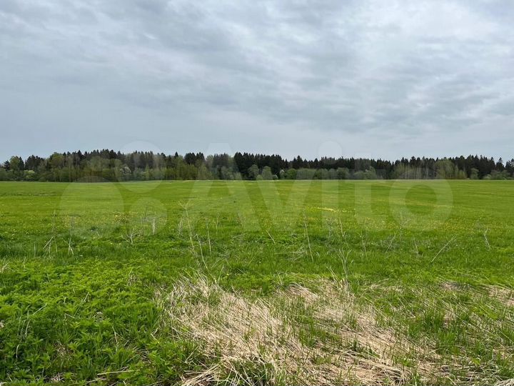 Участок 2,12 га (СНТ, ДНП)