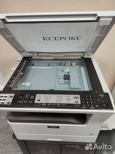 Принтер xerox sharp