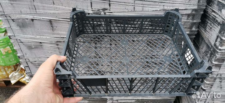 Пластиковый ящик грибной 38см27см10см