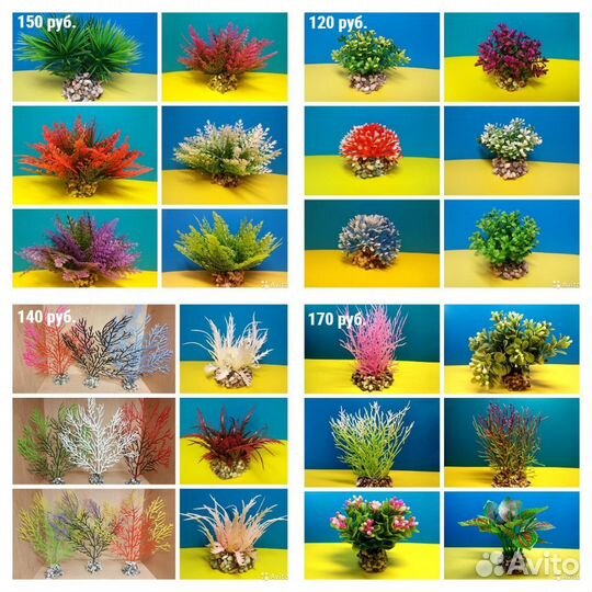 Корм для аквариумных рыб и растения