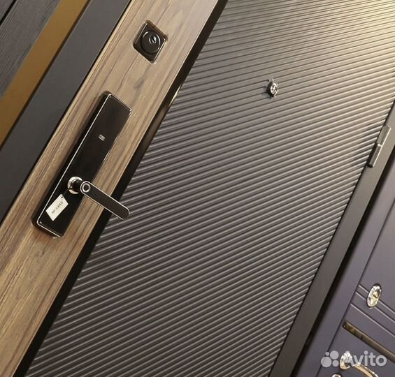 Дверь входная с биометрическим замком