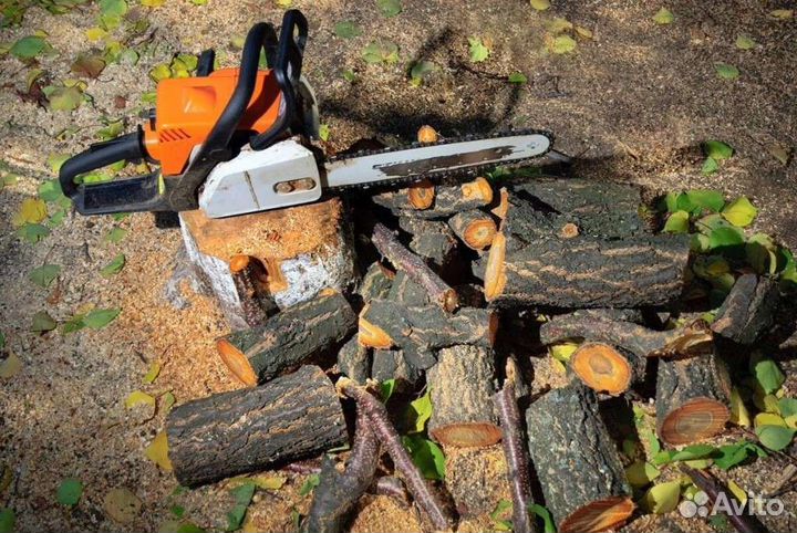 Расчистка участка от деревьев и кустарников