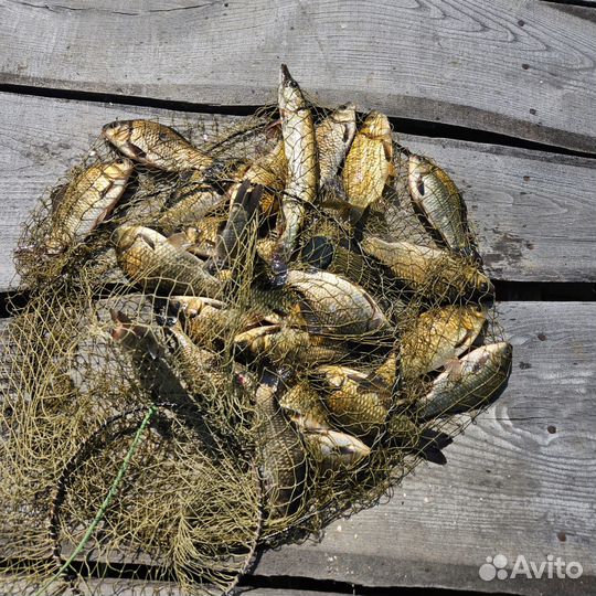 Рыбацкая хата