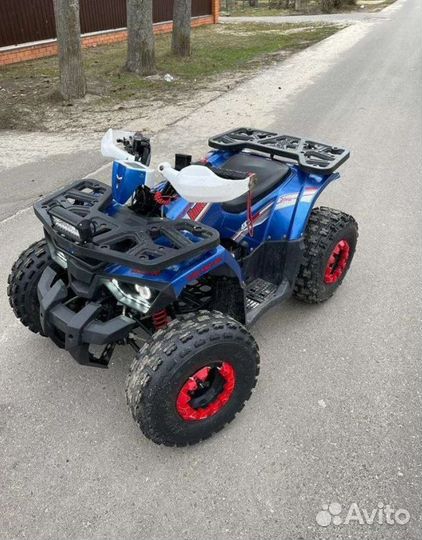 Avantis Hunter 8 (125) New LUX