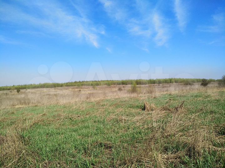 Участок 25,2 сот. (промназначения)