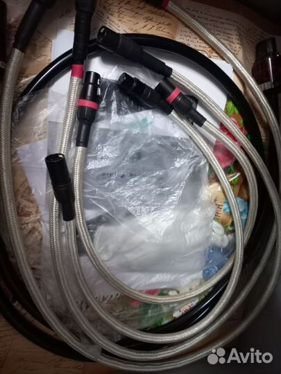 Einstein neutron/Burmester