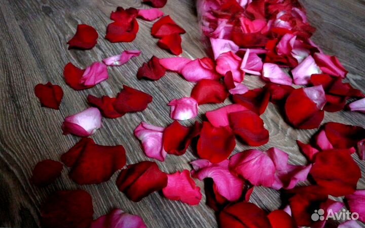 Лепестки роз