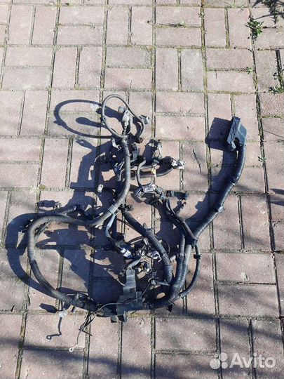 Проводка двигателя 2AZ Toyota