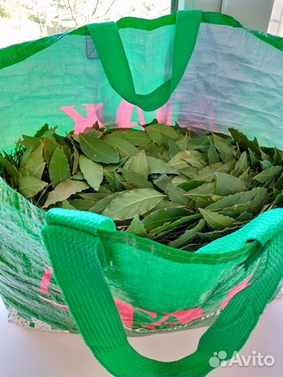 Лавровый лист