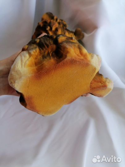 Новая большая копилка собака