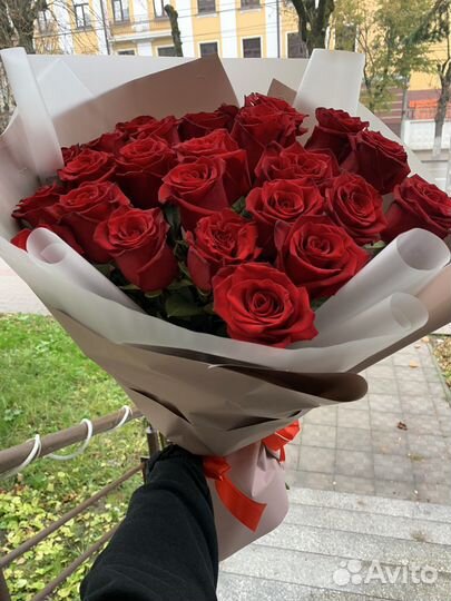 25 эквадорских роз белый красный розовый