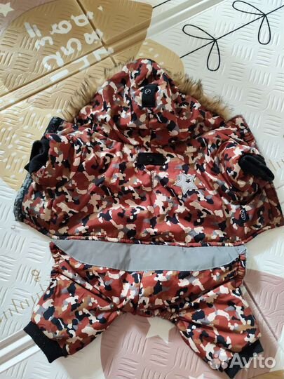 Одежда для маленьких собак