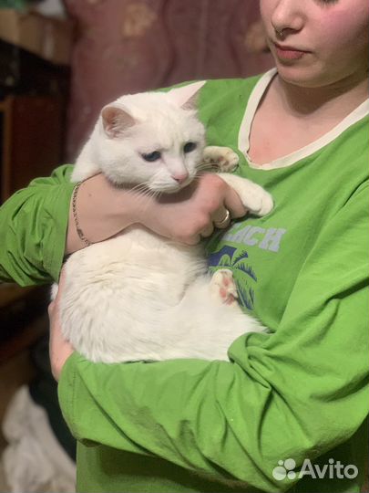 Подарите дом сироте