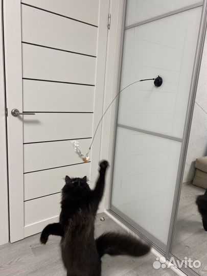 Игрушка-дразнилка для кошек